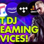 How DJs Influence Music Trends